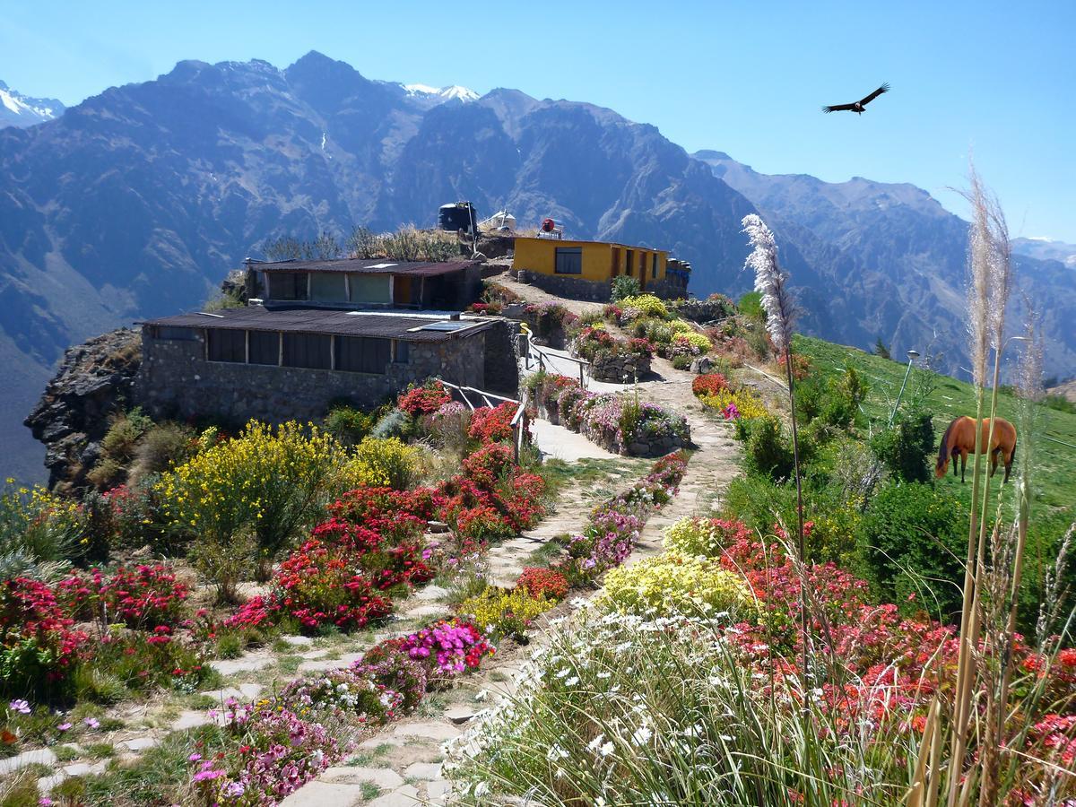 카바나콘데 La Granja Del Colca 빌라 외부 사진