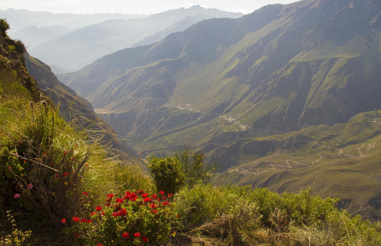 카바나콘데 La Granja Del Colca 빌라 외부 사진