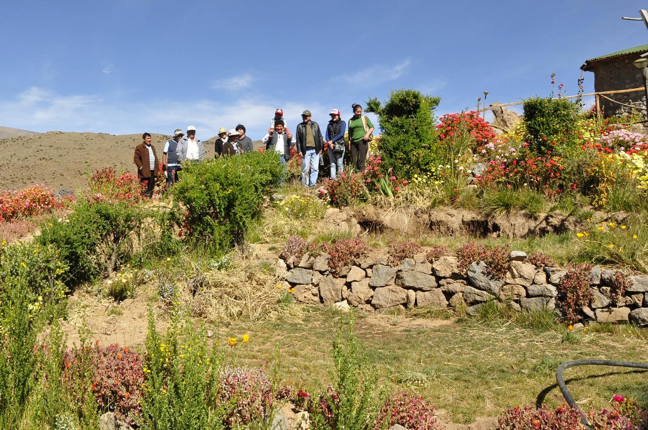 카바나콘데 La Granja Del Colca 빌라 외부 사진