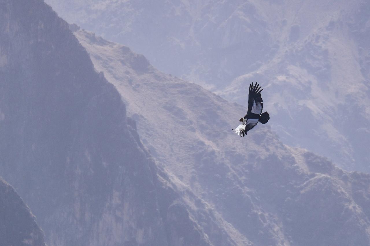 카바나콘데 La Granja Del Colca 빌라 외부 사진