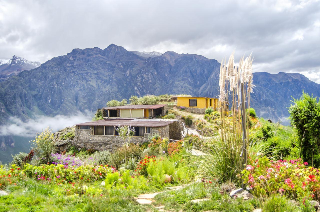 카바나콘데 La Granja Del Colca 빌라 외부 사진